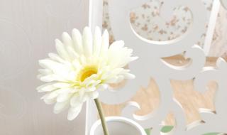 自制摄影棚 自制摄影棚