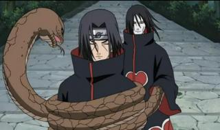 鼬vs大蛇丸第几集